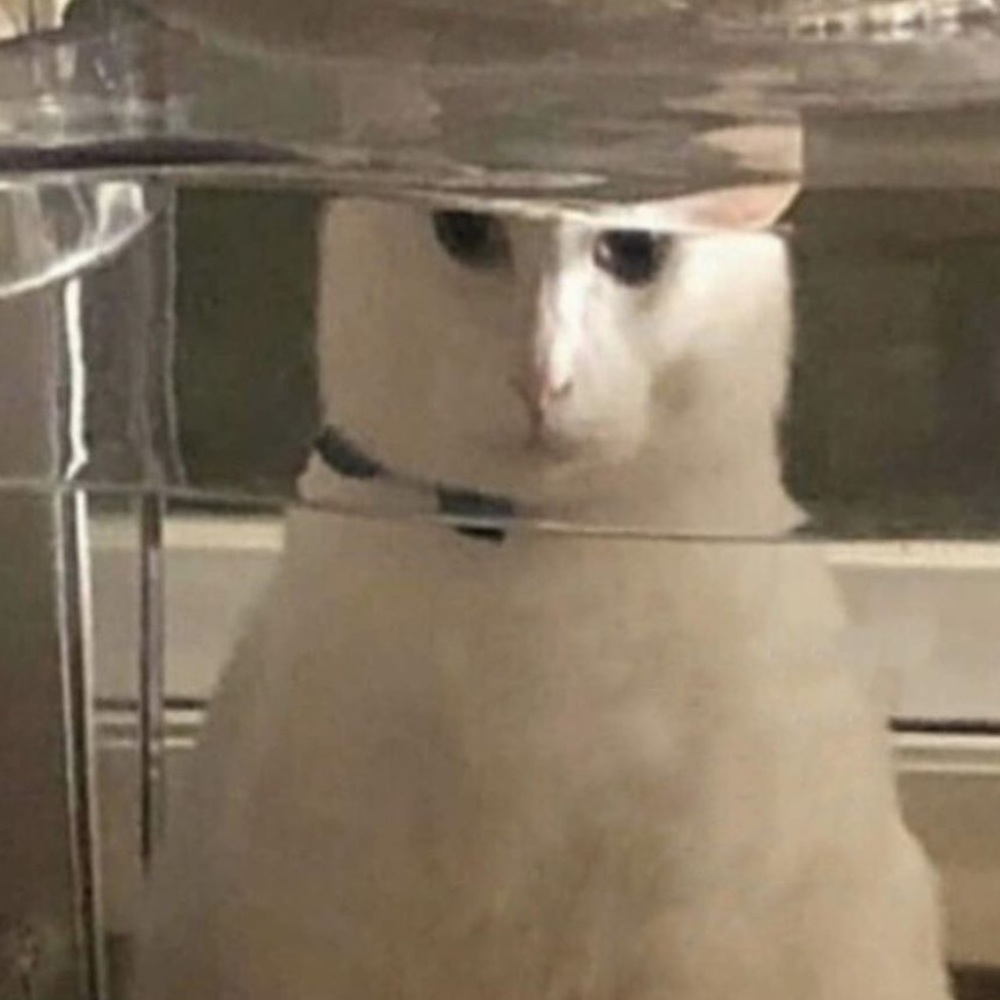 Meet your Posher, Nadia